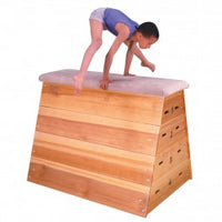 School Gym Vaulting Box