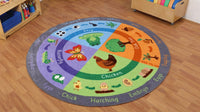 Life Cycle Carpet