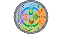 Life Cycle Carpet