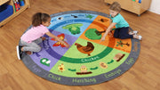 Life Cycle Carpet