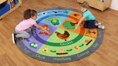 Life Cycle Carpet